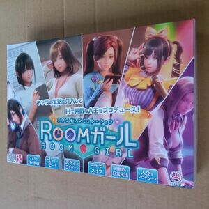 ROOMガール PCゲーム ILLUSION イリュージョン　3Dライフシミュレーション ROOM ルーム ガール　予約特典 DL ダウンロードカードは期限切れ