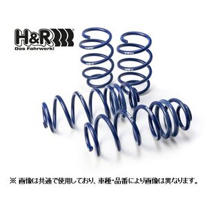 H＆R ダウンサス アウディ TT クーペ/ロードスター (A4) 1.8Tクワトロ 8NAPXF/8NBAMF　29438-1