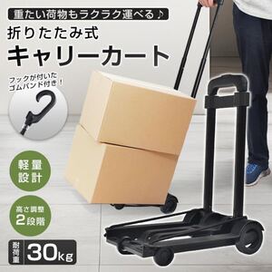 キャリーカート 折りたたみ ハンディカート 台車 軽量耐荷重30kg 高さ2段階調節 ハンドキャリー ショッピングカート コンパクト ワンタッチ