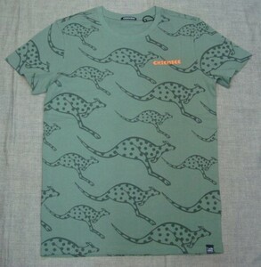 新品CHIEMSEE(キムジー)メンズTシャツ MBRC VIERGE 6562 MEDIUM GREEN/LIGHT GREEN AOP (M)