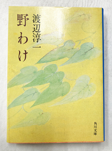 野わけ 渡辺淳一 平成２年 角川文庫