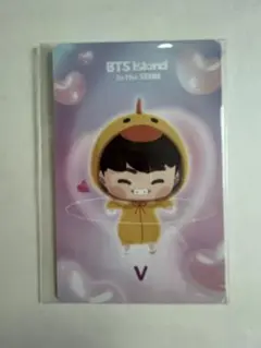 BTS FESTA 2024 ARMY ZONE インザソム トレカ テテ V