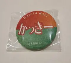 乃木坂46 賀喜遥香 個別ランダムグッズ ウォールアート缶バッジ