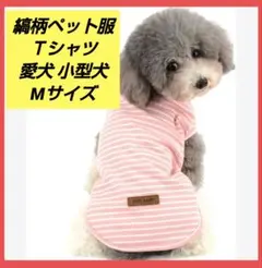 RANPHY 縞柄ペット服 柔らかい 綿製 Ｔシャツ 愛犬 小型犬 Mサイズ