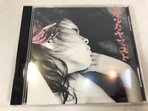 カルカヤマコト　アルバム　CD　中古