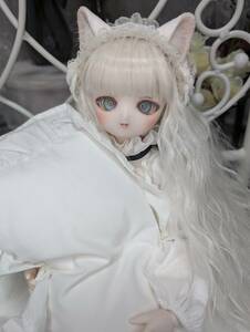 ddh01 セミホワイト カスタマー様製 ソフビ盛り