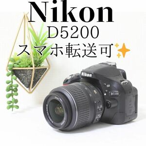 Nikon D5200 標準レンズセット 初心者向け 一眼レフカメラ ニコン