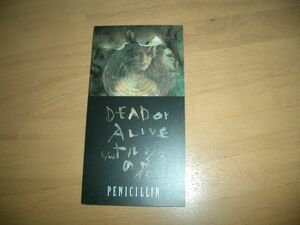 8cmCD PENICILLIN「DEAD　or　ALIVE・ナルシスの花」　美品！