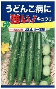 キュウリ おいしさ一番星 種子 野菜のたね 家庭園芸