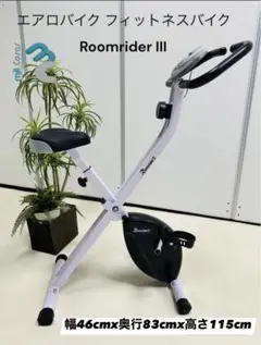 エアロバイク フィットネスバイク Roomrider Ill