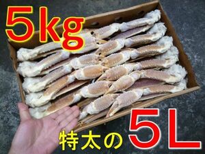 ★送料無料！２０２４船上凍結産地箱 極太５L 生ズワイガニ５kg（約12肩【かに カニ 蟹 6