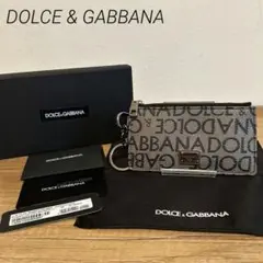 美品 DOLCE & GABBANA フラグメントケース シグネチャー 付属付