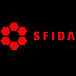 送料0　【SFIDA】スフィーダ-20cm　サッカーステッカー4