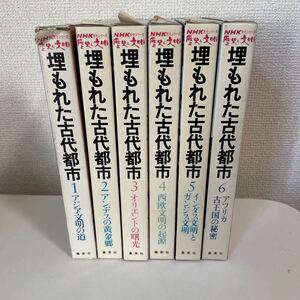 【NHK文化シリーズ 歴史と文明 埋もれた古代都市】全巻揃 全6巻揃 集英社