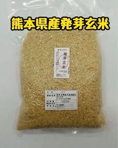 熊本県産 令和6年新米100% 発芽玄米 2kg ヒノヒカリ　