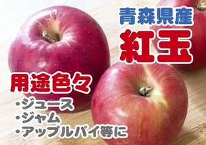 わけあり 否バラ詰め【B級品・紅玉・10kg（10キロ）ダンボール 詰】青森県産