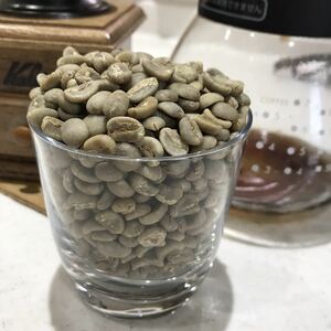 コーヒー生豆　ガテマラ　有機栽培　800g