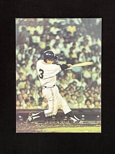 1974年 カルビー プロ野球カード No368 長嶋茂雄 長島 巨人