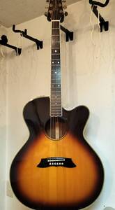 TAKAMINE　PT-010B　S/OLD　TAKAMINE綺麗！！