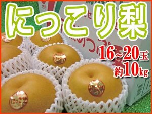 【Good】今季最終！！栃木県産 オリジナルの高級梨 にっこり 16～20玉 たっぷり二段詰め 約10kg