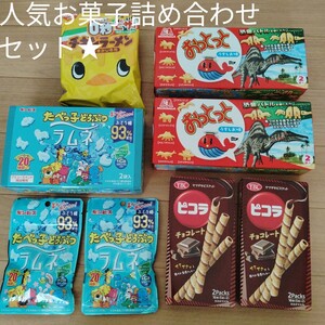 おっとっと２箱(４袋)、食べっ子どうぶつラムネ１箱(２袋)、ピコラチョコレート２箱(４袋)、０時チキンラーメン一袋セット！！