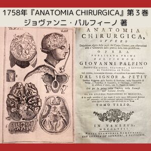 【希少な医学書】1758年『ANATOMIA CHIRURGICA』第３巻 銅版画図版13枚 解剖図 ターヘル・アナトミア 蘭学 杉田玄白 和本 古書 古文書