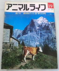 古書◆雑誌◆S46年 週刊アニマルライフ第１９号 ◆ ウサギ★ウサギコウモリ★ウシ★ウシガエル★ウシツツキ★ウスカワガエル★