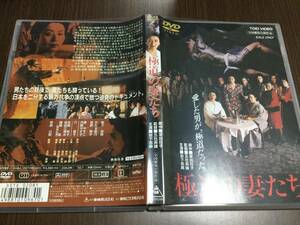 ◆極道の妻たち DVD 国内正規品 セル版 岩下志麻 かたせ梨乃 佳那晃子 春やすこ 内藤やす子 汀夏子 成田三樹夫 藤間紫 世良公則 1986