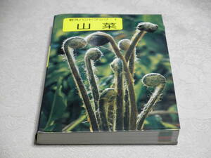 【即決】中古「野外ハンドブック１ 山菜」山と渓谷社