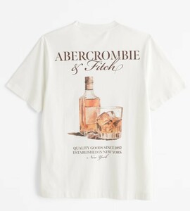 2024aw　US限定!!　日本未発売　Abercrombie & Fitch Classic Polished Graphic Logo Tee　LAから本物をお届け!!