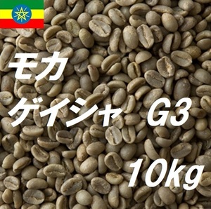 コーヒー生豆　エチオピア モカ ゲイシャG3　10kｇ 送料無料　グリーンビーンズ