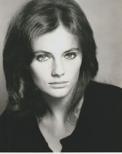 ジャクリーンビセット　Jacqueline Bisset　sp0762　輸入　写真　サイズ 約20.3x25.4cm 30762.