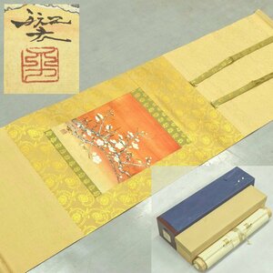 (4-28128)掛軸 平川敏夫『梅花陽券』3号 日本画 落款 直筆サイン 共箱 二重箱 太巻【緑和堂】