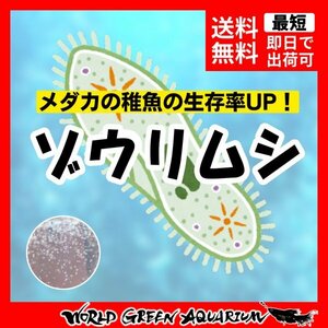 【送料無料】メダカ 餌【ゾウリムシ800ml＋ゾウリムシの餌】めだか ミジンコ PSB おとひめ 水草 ミックスめだか ホテイ草 みゆき 楊貴妃