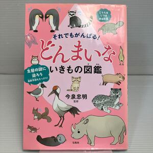 それでもがんばる！どんまいないきもの図鑑 今泉忠明／監修 KB1111