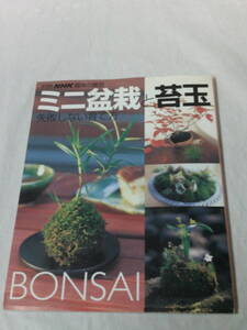 別冊NHK趣味の園芸　ミニ盆栽と苔玉　失敗しない育て方◆ゆうパケット　3*5