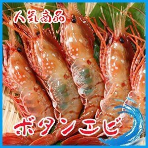 ボタンエビ　500g　 えび 海老　