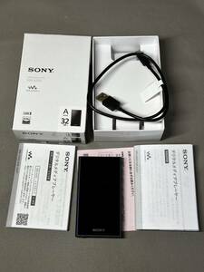 ソニー SONY　NW-A306 初音ミク モデル