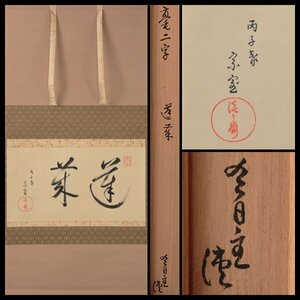 【古美味】淡々斎 自筆横物「蓬莱」軸装 茶道具 保証品 B8Ux