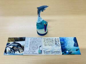 海洋堂 新江ノ島水族館への誘い2 バンドウイルカとトレーナー 半道海豚 ボトルキャップ 荒俣宏監修 KAIYODO 立体生物図録2 バンドウイルカ