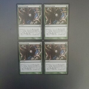 MTG 古きものの活性 ROE 日本語 4枚セット