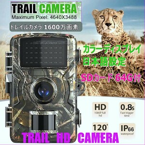 「送料無料」トレイルカメラ SDカード64G付/暗視撮影 1600万画素 4K HD 防水ホームセキュリティカメラ,屋外防犯 狩猟監視 ディスプレイ・BC