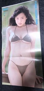 細川ふみえ 雑誌付録ポスター 56×27cm