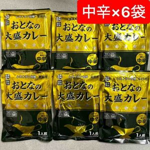 おとなの大盛カレー 中辛 レストラン仕様 250g×6袋セット