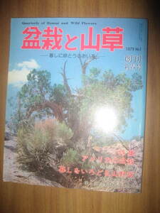 盆栽と山草 1979年 創刊新春号 アメリカの盆栽 暮らしをいろどる山野草 月刊さつき研究社、状態：並