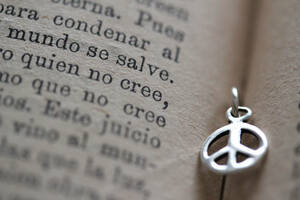 ＊Silver925：peace mark charm