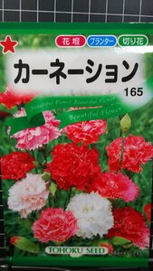 カーネーション ３袋セット 種 郵便は送料無料