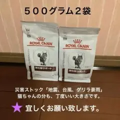 ロイヤルカナン　猫用　消化器サポート　５００グラム２袋