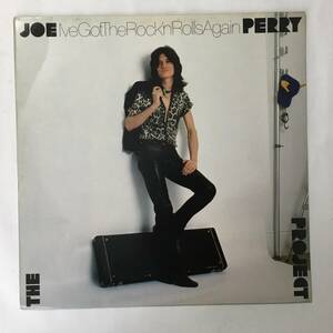 THE JOE PERRY PROJECT I