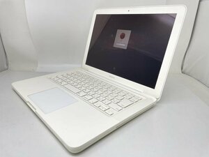 M391【動作確認済】 充放電回数48回 MacBook　Mid 2009 13インチ HDD 250GB 2.26GHz Core 2 Duo /100